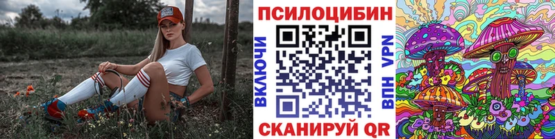 Галлюциногенные грибы Psilocybine cubensis  закладка  Пугачёв 
